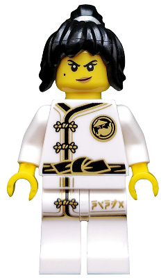 LEGO MINIFIG Minifigure Series Spinjitzu Training Nya coltlnm02