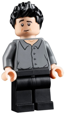 LEGO MINIFIG Icons Ross Geller ftv001