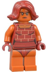 LEGO MINIFIG Juniors Brick incr009