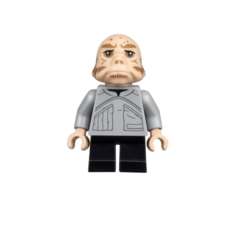 LEGO MINIFIG Star Wars Ugnaught sw0970
